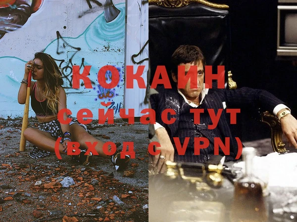 мяу мяу мука Абаза