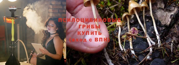 мяу мяу мука Абаза