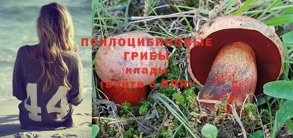 твердый Абинск